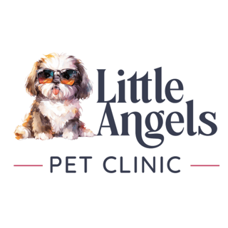 Little Angels Pet Clinic